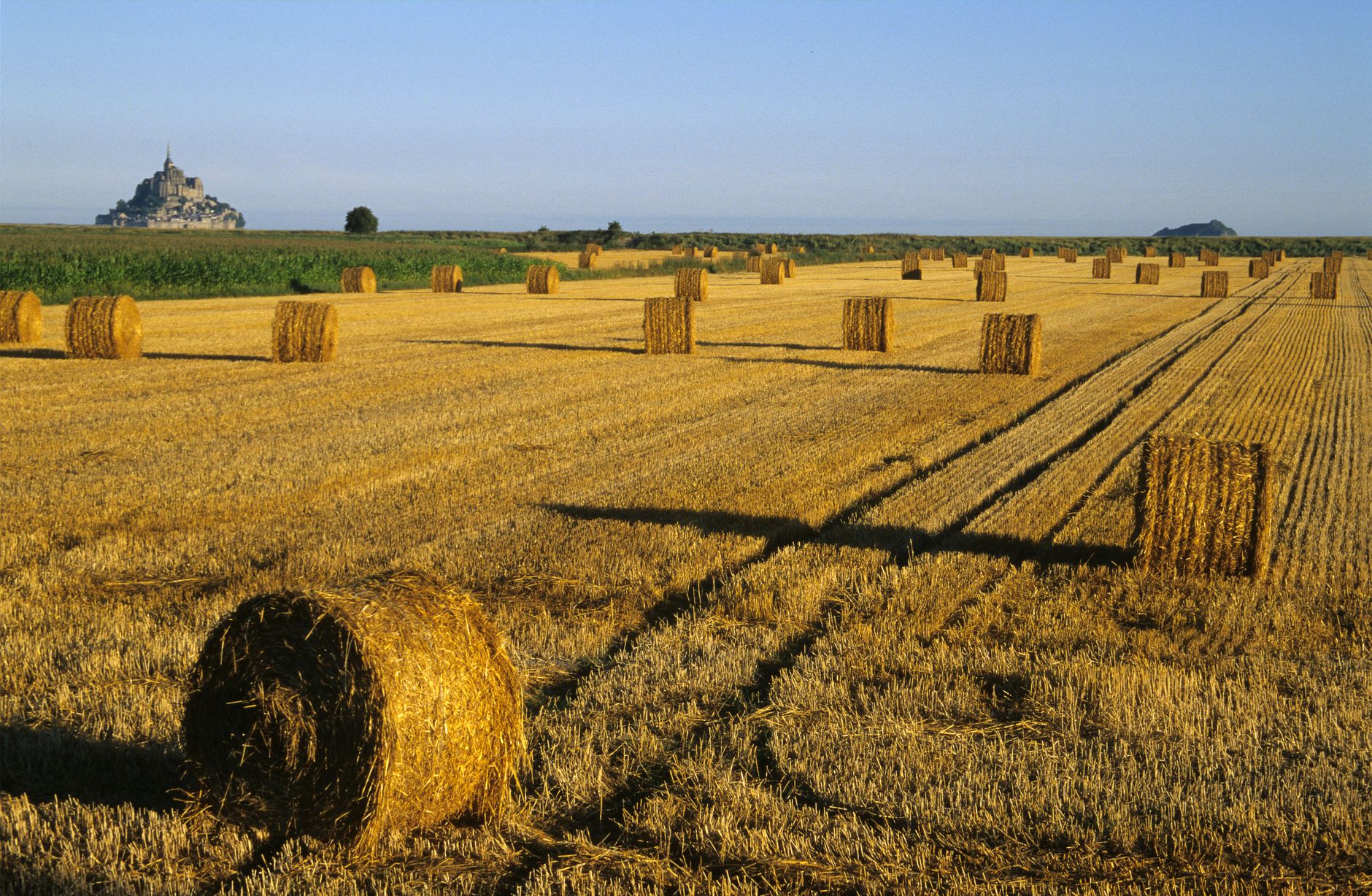 L'assurance, un bouclier crucial pour les agriculteurs face aux aléas climatiques
